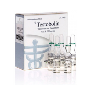 Buy Testobolin Testosterone Enanthate 250mg Online