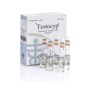 Buy Testocyp Testosterone Cypionate 250mg Online